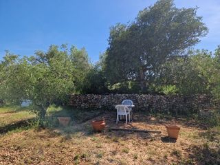 Fondo rustico in Poble. Terreno agrícola en montroig del camp  oportunidad única