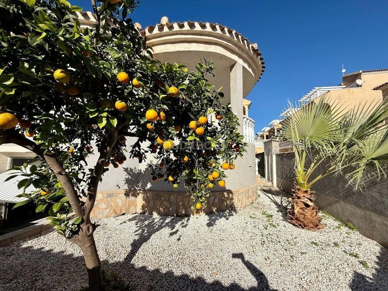 Foto fd36dad1-4ca1-4654-82ce-e01de0f02a17. Casa amb aparcament a Playa Flamenca Orihuela