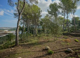Wohngrundstück in Partida Comunes-Adsubia