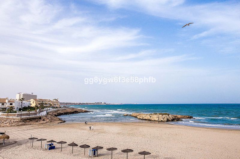 Foto a7078672-2f82-4096-8ce4-f1ec1fe8e72c. Casa a La Regia Orihuela
