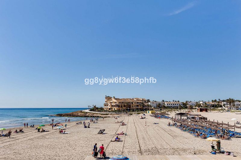 Foto bec4f10d-0b95-47eb-bc4d-b8bf57017c88. Casa a La Regia Orihuela