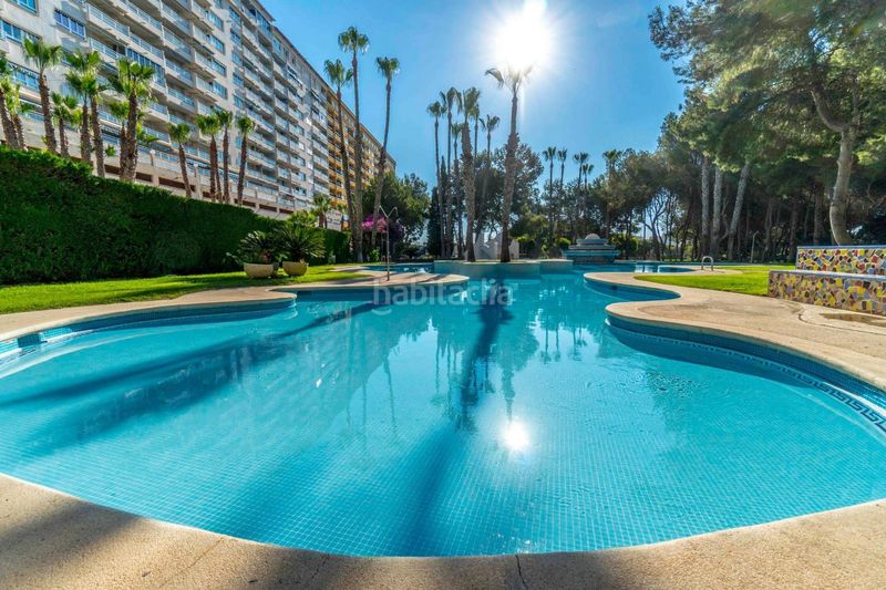 Foto 3df92e92-720a-42a3-b02c-d34a58116260. Apartament amb aparcament a Playa Flamenca Orihuela