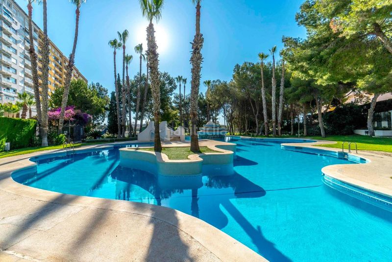 Foto 5d3b4096-5314-411e-a07c-96fb7aca91b3. Apartament amb aparcament a Playa Flamenca Orihuela