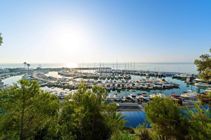 Foto ddbdca27-f2e3-4b11-b564-a1c68aafc0dc. Apartament amb aparcament a Playa Flamenca Orihuela