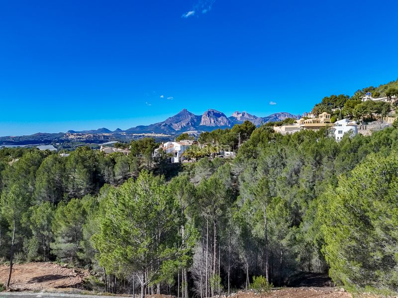 Foto 90834e27-d724-436c-90e5-6ce6a59adead. Terreny residencial a Altea ciudad Altea