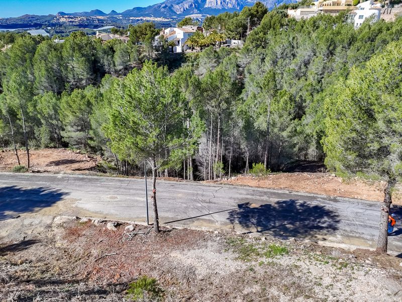 Foto 9fd030b6-03a4-43c9-b52d-1f065cfa385d. Terreny residencial a Altea ciudad Altea