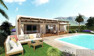Chalet in Pinoso. Pinosovilla