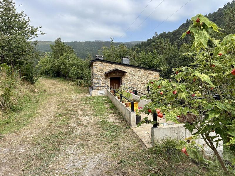 Foto 4a880488-9b27-4b70-aac5-1c2ff68e693e. Masia a vides a Pontenova (A)