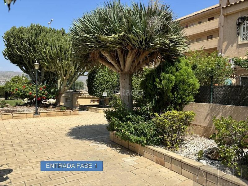 Foto 8098c9d6-78d0-40aa-8384-3406bf0eb788. Apartament amb aparcament piscina a Campello Playa Campello (el)