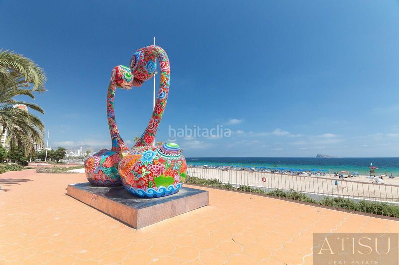 Foto 91365b29-fc63-412d-8f47-657c381e7393. Lloguer pis amb calefacció aparcament a Playa Poniente Benidorm