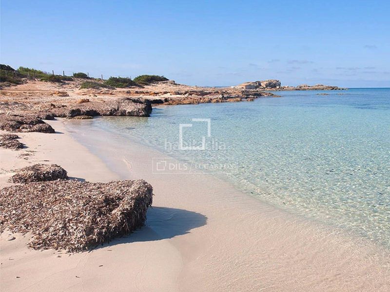 Foto 514fd06a-e7eb-4fa4-838f-5ccd1b820206. Pis amb calefacció piscina a Colònia Sant Jordi Ses Salines