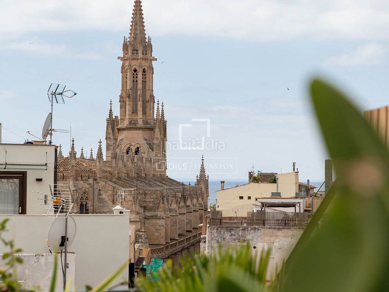 Foto a3e3866d-466e-4d70-bee1-c8d374e58731. Pis a Cort Palma de Mallorca
