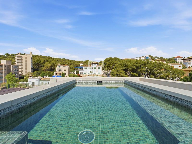 Foto 39b8e719-d7e5-4d4c-ae0f-d4caf397f210. Àtic amb aparcament piscina a Son Armadams Palma de Mallorca