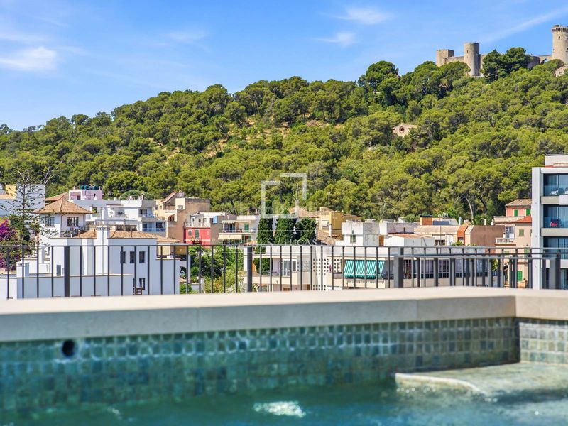Foto 5a7722e3-94ce-4577-90b4-f538805687de. Àtic amb calefacció aparcament piscina a Son Armadams Palma de Mallorca