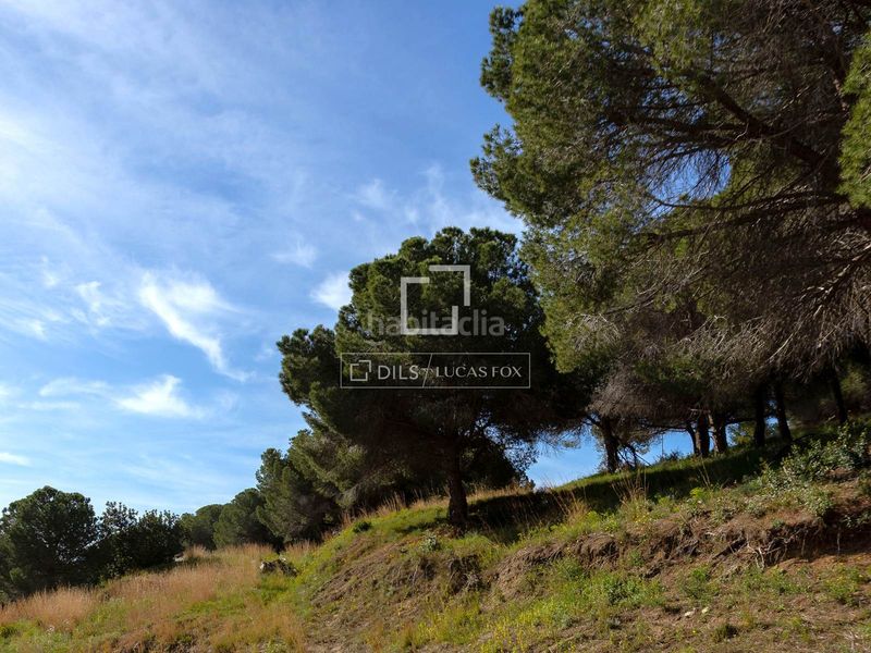 Foto ca10c36c-596b-4342-9aaa-d5ed926ca866. Finca rústica a Premià de Dalt