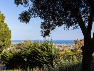 Finca rústica a Cabrils. Parcela de 2.013 m en venta en cabrils, barcelona