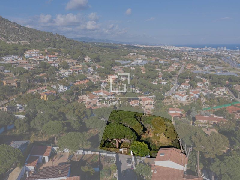 Foto 51a6c028-c08a-4a25-8277-666cd3ed9ad8. Finca rústica a Cabrils