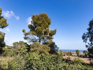Finca rústica a Cabrils. Parcela de 2.013 m en venta en cabrils, barcelona