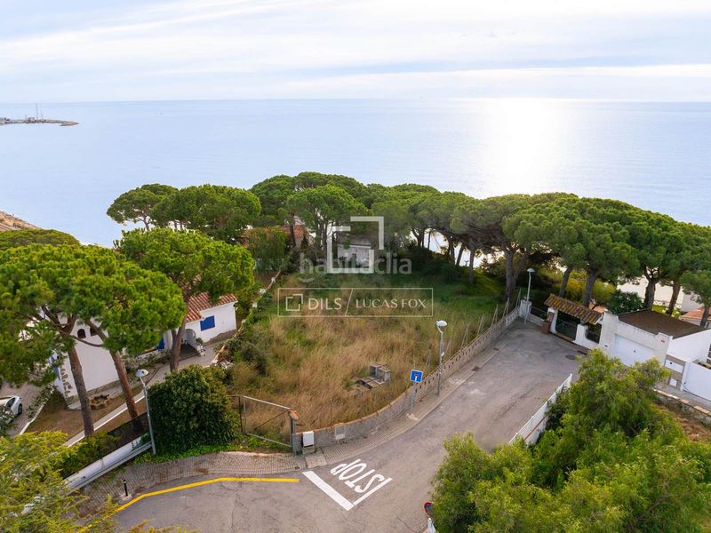 Foto 0fa4afb2-9507-4a9d-86d7-110758875c20. Finca rústica a Victoria-Les Vil·les-Canyadell Arenys de Mar