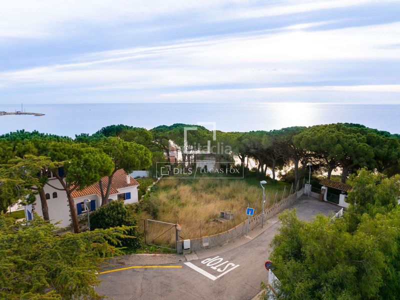 Foto 309451a3-361e-45cb-b534-3345eb6a621a. Finca rústica a Victoria-Les Vil·les-Canyadell Arenys de Mar