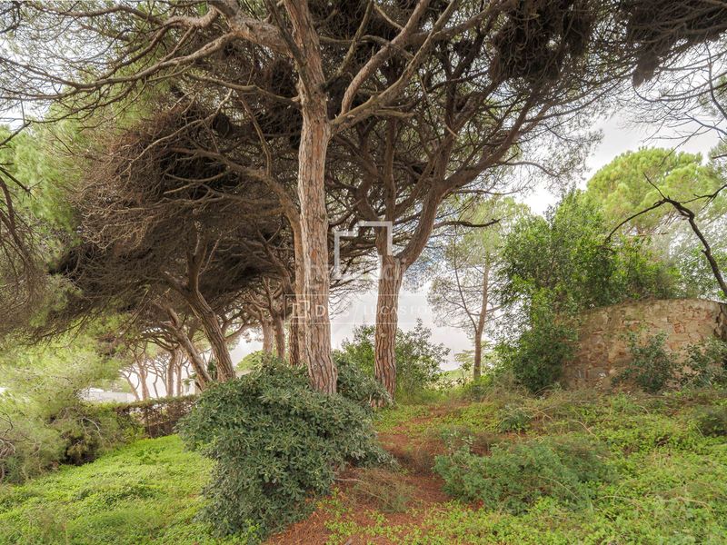 Foto 30c6e88b-c011-451e-96e9-3483a39e0629. Finca rústica a Victoria-Les Vil·les-Canyadell Arenys de Mar