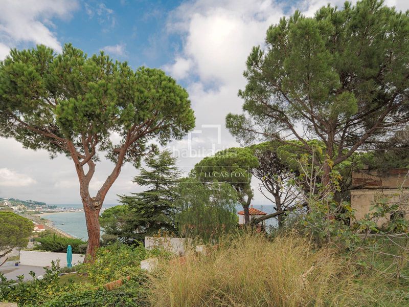 Foto 7e819dbf-87a6-44ac-96d3-cc8231e94550. Finca rústica a Victoria-Les Vil·les-Canyadell Arenys de Mar
