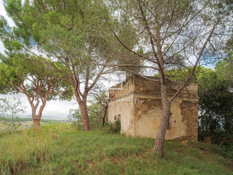 Foto 8a721ae6-e288-4425-8e32-46fd637534fd. Finca rústica a Victoria-Les Vil·les-Canyadell Arenys de Mar