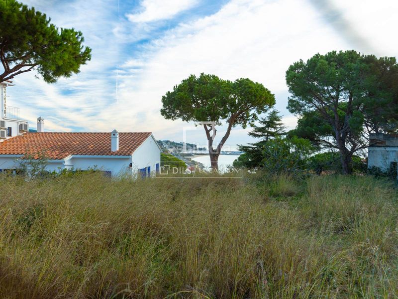 Foto 8d3a101a-6b21-47bb-a9bd-aa09600b69b9. Finca rústica a Victoria-Les Vil·les-Canyadell Arenys de Mar