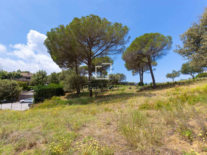 Foto 0cadb4fa-7cca-438b-bf05-5540b771e215. Finca rústica a Vallromanes