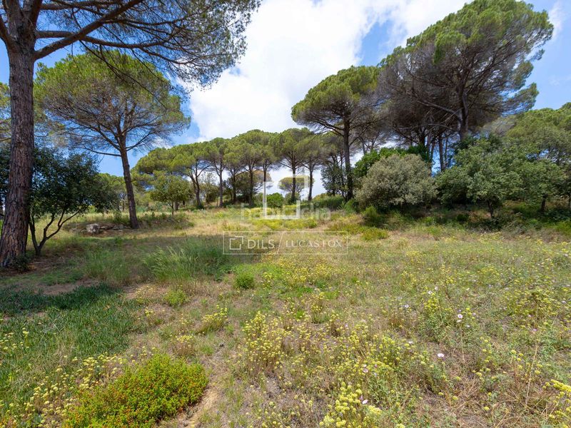 Foto 0de746a8-2c3b-49b8-9729-6b9218396a3d. Finca rústica a Vallromanes