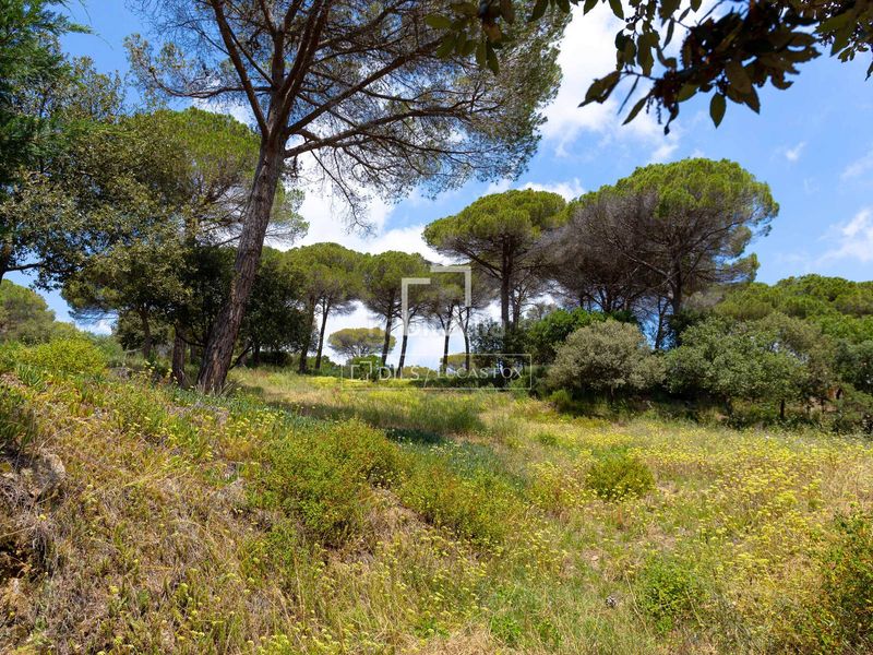 Foto b057ca39-7548-4f67-9de4-928346de1e5c. Finca rústica a Vallromanes