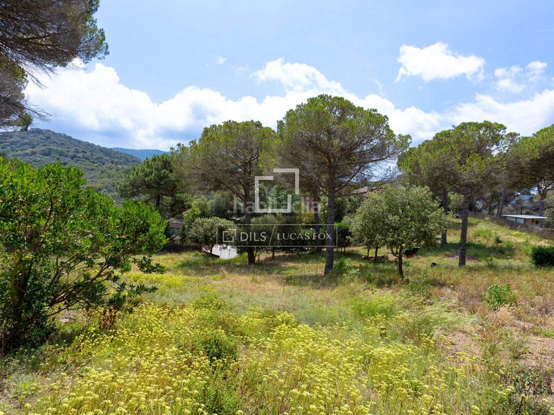 Foto c16f7371-06df-41cd-8164-45b6bb67803b. Finca rústica a Vallromanes
