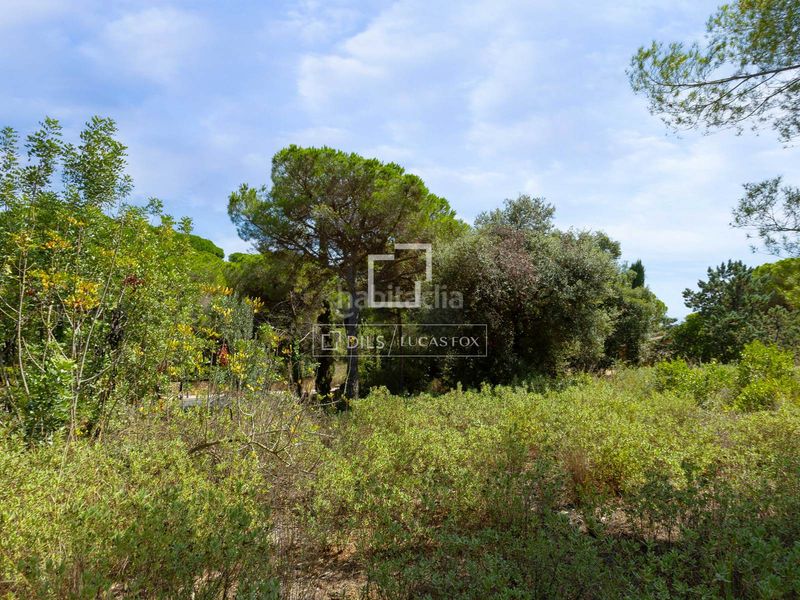 Foto a6eb7c8f-bf72-4185-a350-25e379218949. Finca rústica a Rocaferrera Sant Andreu de Llavaneres