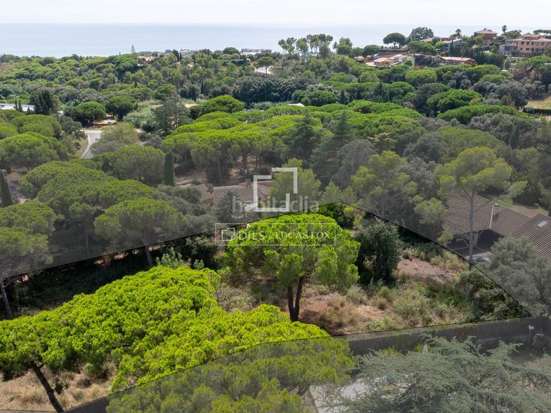 Foto c2d326a8-76c2-4748-9966-b04dabb1ef32. Finca rústica a Rocaferrera Sant Andreu de Llavaneres
