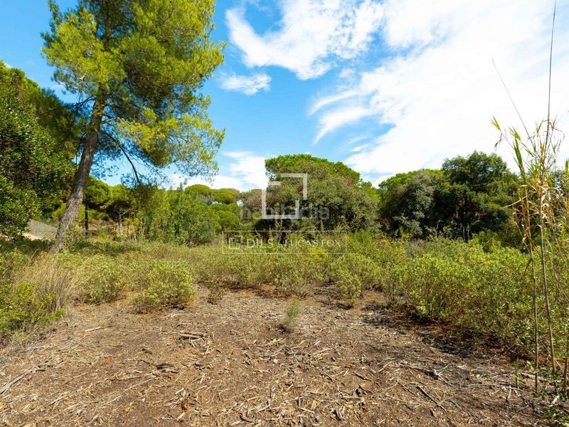 Foto e3accc4e-3032-41f6-929f-bc40a43b43f8. Finca rústica a Rocaferrera Sant Andreu de Llavaneres