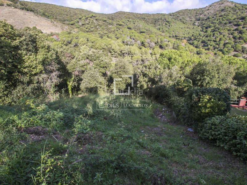 Foto de5f8058-b8e9-4ecd-b6c9-88f0c2afbca8. Finca rústica a Alella