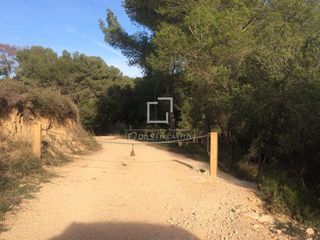 Masia a Castellet i la Gornal. Coto privado de caza con viñedos y masía a restaurar, en venta e