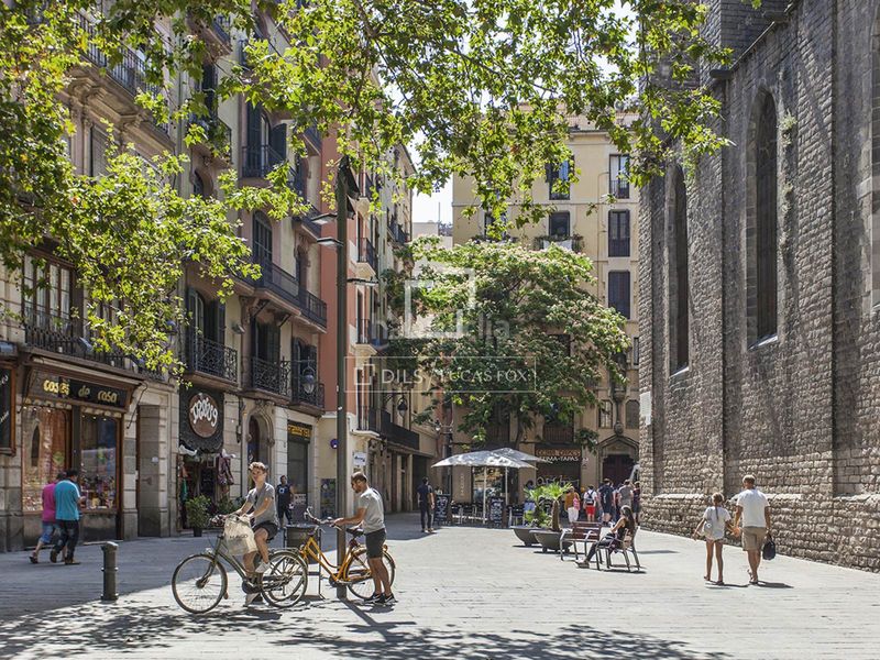Foto 9b35da1d-df60-4188-98ad-24b378e3d169. Pis amb calefacció a Gòtic Barcelona