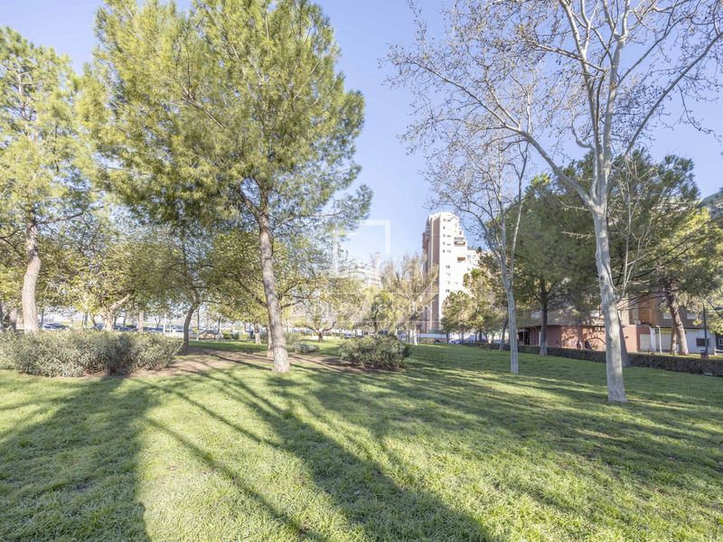 Foto ccea4e43-e30c-4f5b-b4f6-bf71985bbf8f. Pis a Sant Pau Valencia