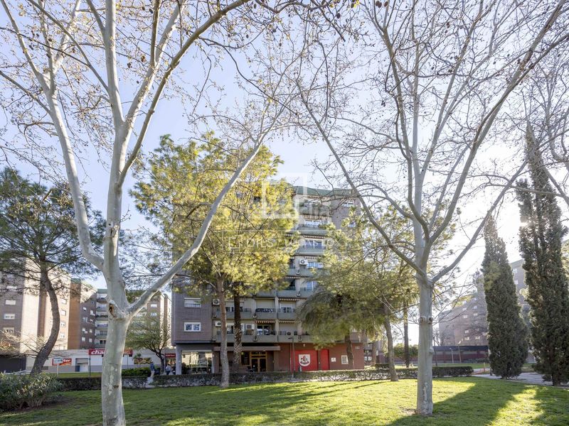 Foto f1396f93-052c-43e1-a913-ad0052d02b6d. Pis a Sant Pau Valencia