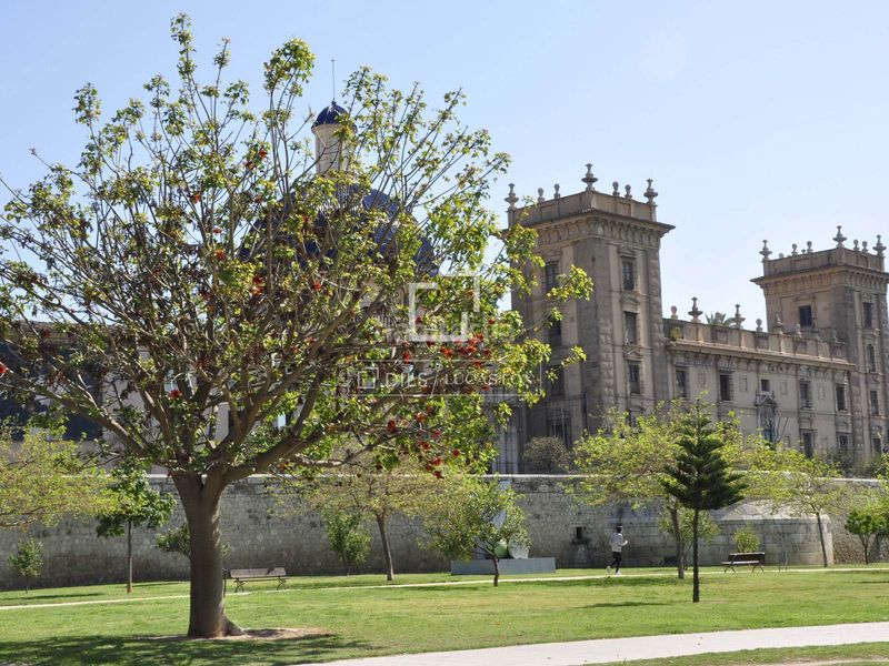 Foto dd372e30-0537-4404-84ec-e4610b5ce688. Pis amb calefacció a El Pla del Remei Valencia