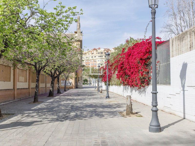 Foto 605490d2-2181-4eb5-9f19-c389b140bd9f. Pis a La Petxina Valencia