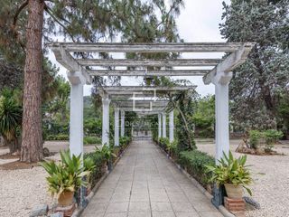 Xalet a Monteamor-La Carrasca-El Peucal. Casa con encanto en venta en náquera, valencia