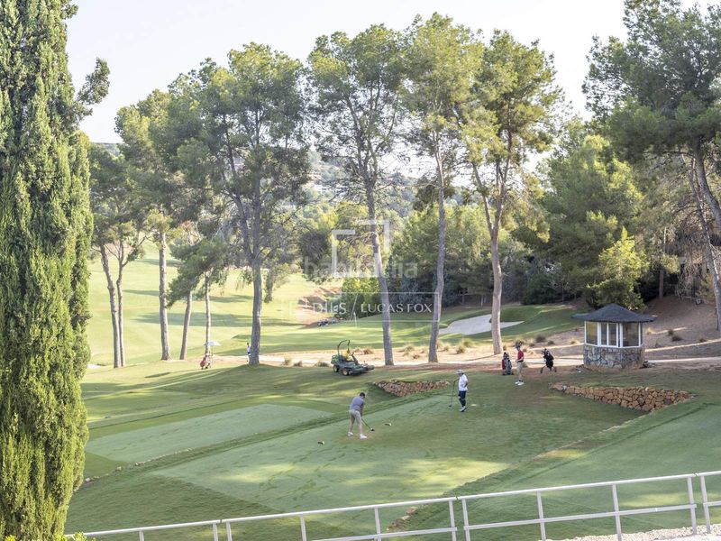 Foto 0ed431fc-1f33-43dd-ae44-109d766b6b76. Finca rústica a El Bosque Chiva