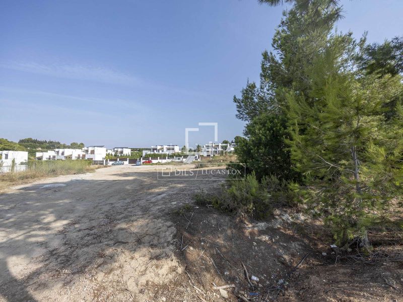 Foto a2588b13-0f99-4174-84ea-f8d38129652e. Finca rústica a El Bosque Chiva