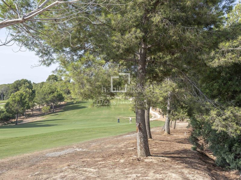 Foto b2fb62de-7d9d-4059-8230-360cd506ec00. Finca rústica a El Bosque Chiva
