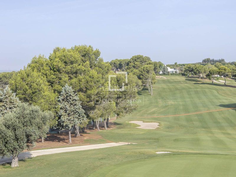 Foto ffcecee7-f6a0-4096-bb45-556c63eab3d7. Finca rústica a El Bosque Chiva