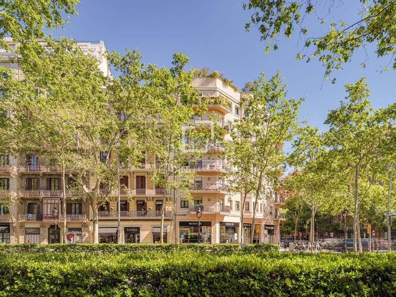Foto c27d0da2-d8f5-458a-aa12-04ae6e35fabf. Pis amb calefacció a Sant Antoni Barcelona