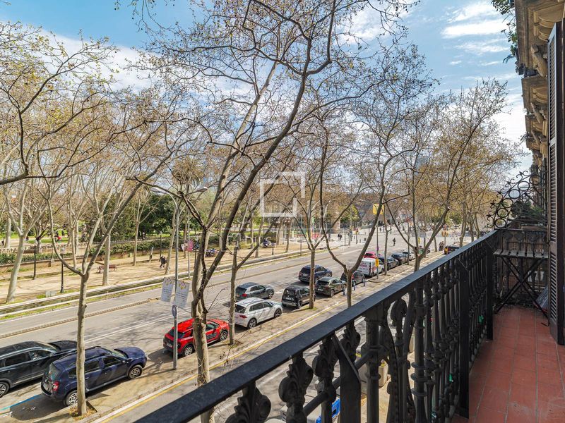 Foto d01e7cfc-ef3b-44fa-bd2d-77625138a97f. Pis amb calefacció a St. Pere - Sta. Caterina - El Born Barcelona