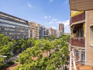 Pis a La Nova Esquerra de l´Eixample